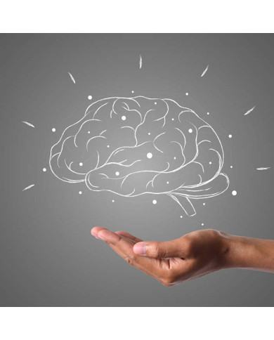 IL CERVELLO: istruzioni per l'uso