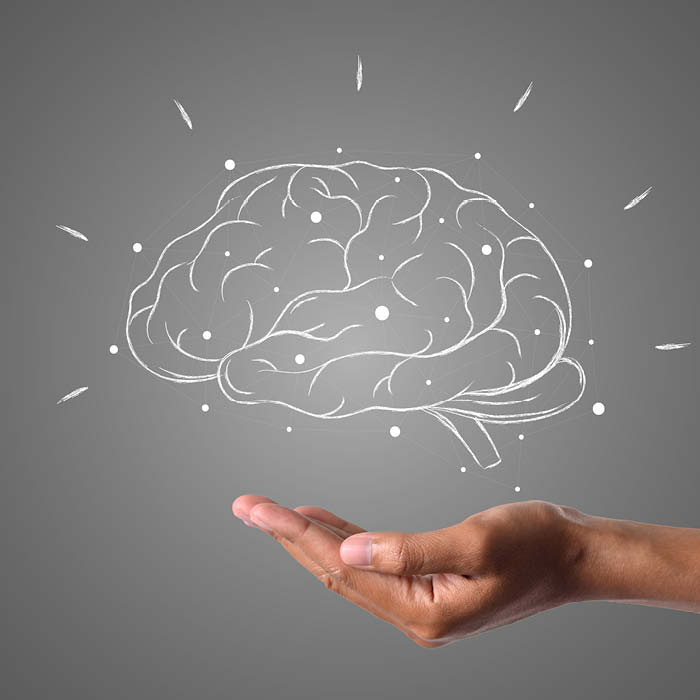 IL CERVELLO: istruzioni per l'uso