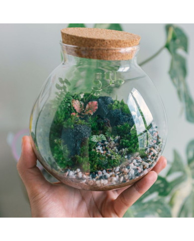 CREA IL TUO TERRARIUM