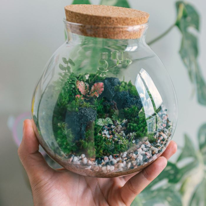 CREA IL TUO TERRARIUM