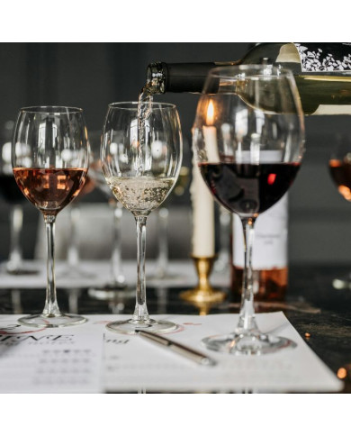 NEL CALICE: conosci e degusta il vino NEL CALICE: conosci e degusta il vino