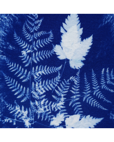 STAMPA BOTANICA SU TESSUTO