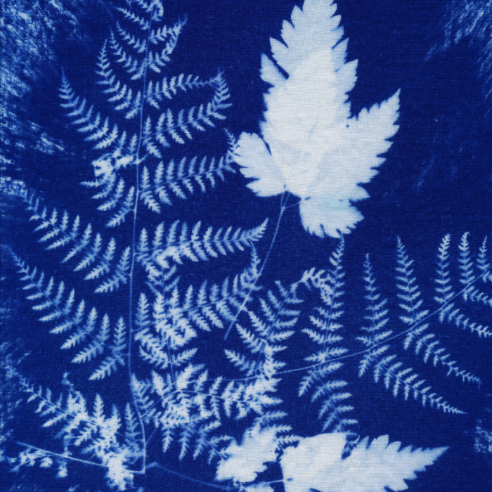 STAMPA BOTANICA SU TESSUTO