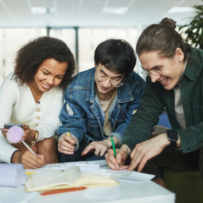 LINGUA E CULTURA GIAPPONESE INTERMEDIO