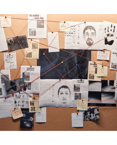 DENTRO LA MENTE CRIMINALE