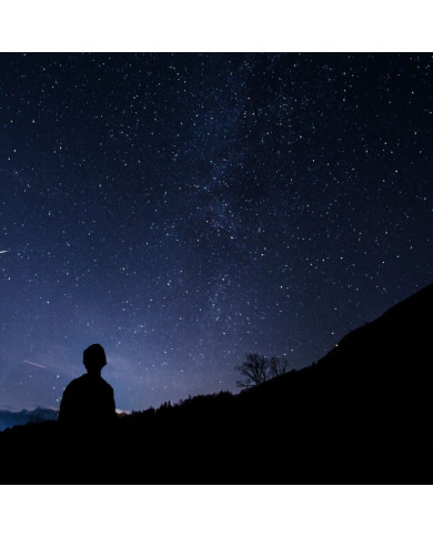 ASTRONOMIA: guida tra le stelle e visita alla Specola