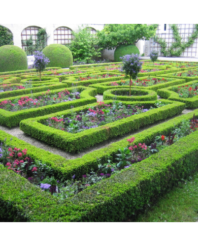 L'ARTE DEI GIARDINI: dalle domus romane ai giardini verticali