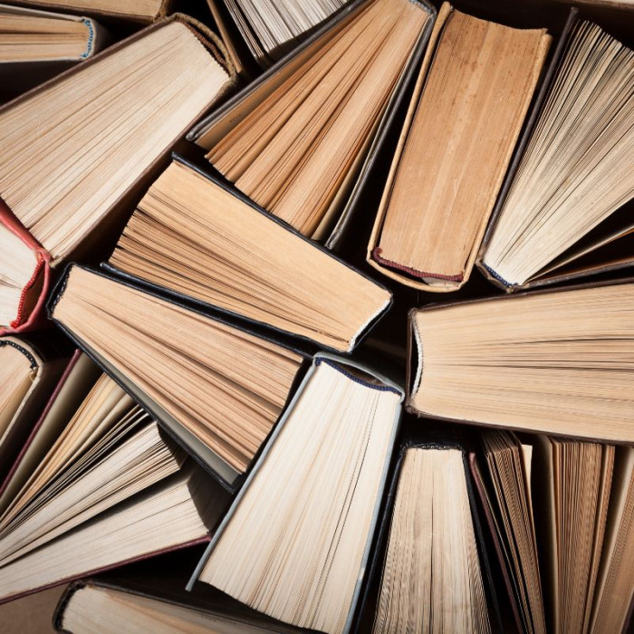 OLTRE LA COSCIENZA: la letteratura del profondo come cura della paura
