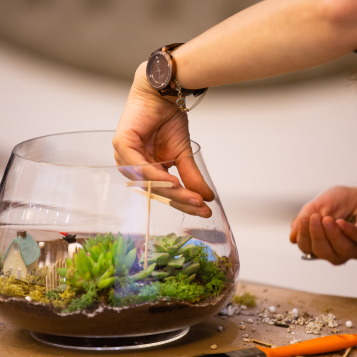 LABORATORIO DI TERRARIUM: il mondo sotto vetro