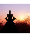 MEDITAZIONE AVANZATA: il viaggio sciamanico