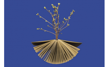 Il 5x1000 al Gruppo Foppa